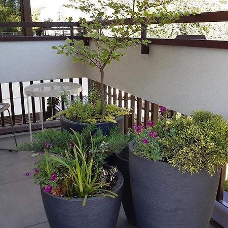 4Four Apartment, Villa Moderno, Taras, Parking Podziemny Торунь Екстер'єр фото